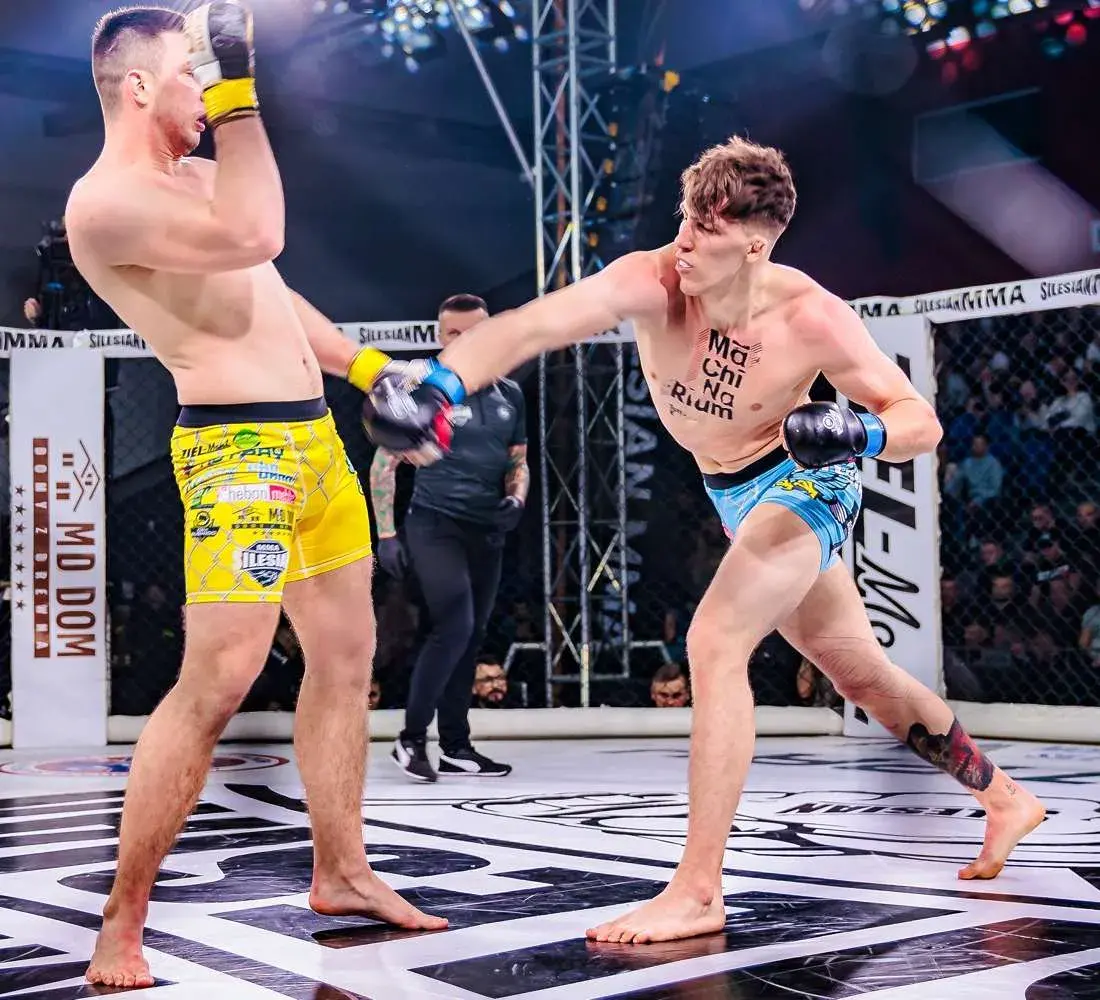 rękawice sparingowe mma