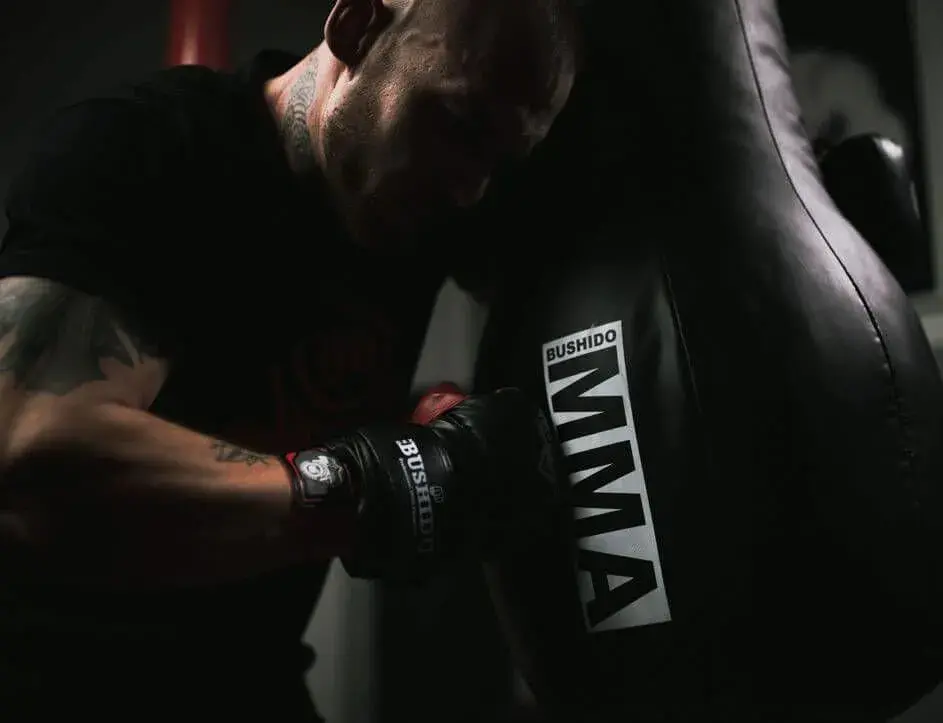 gloves for training on a boxing bag
