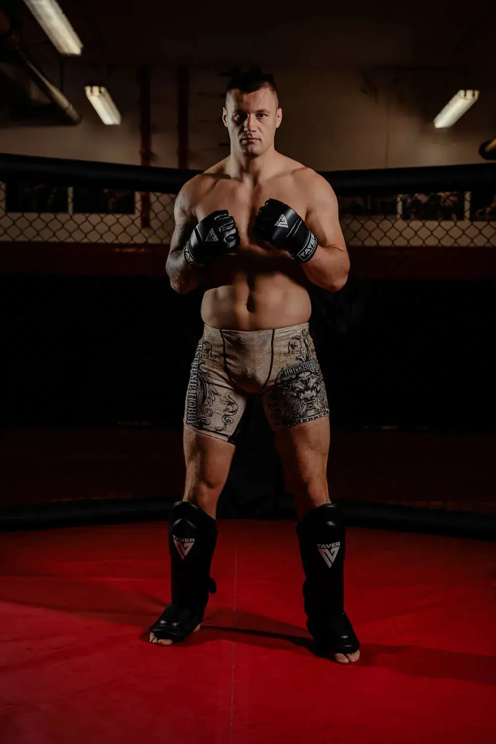 mma gloves taver kaszubowski