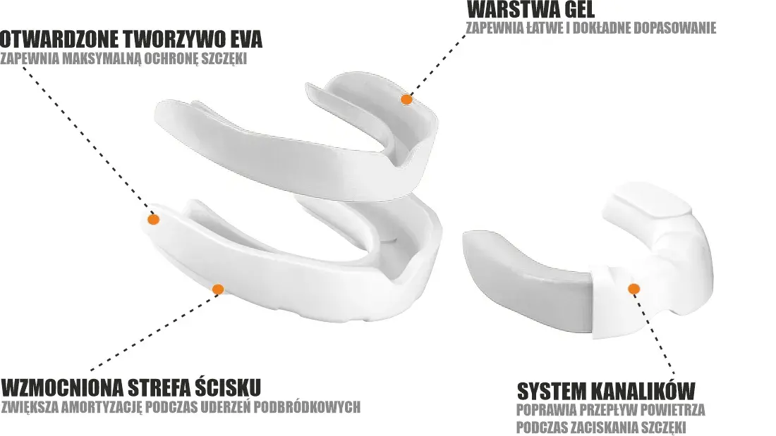 MG-2-WG infographic