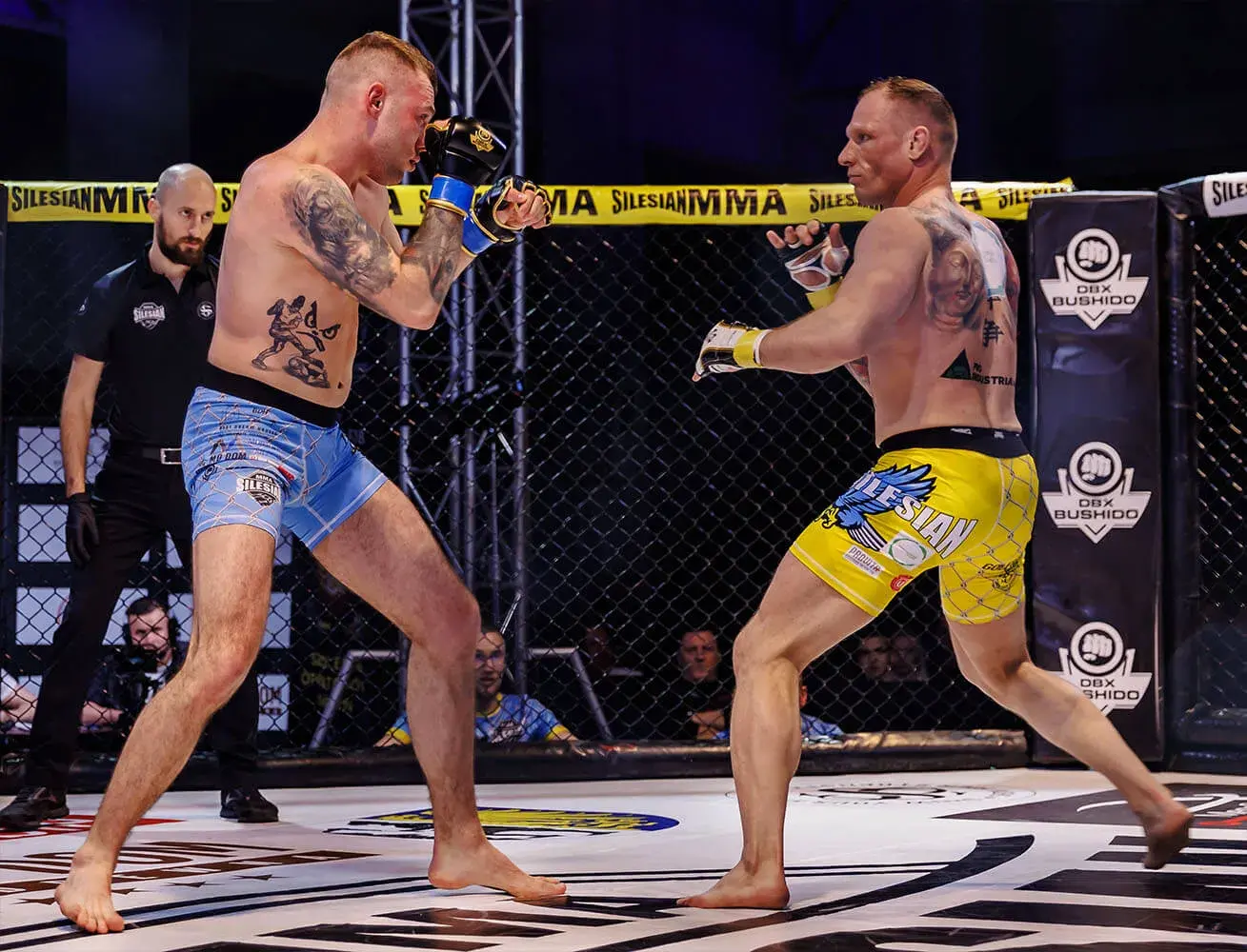 silesian mma 9 e1v8