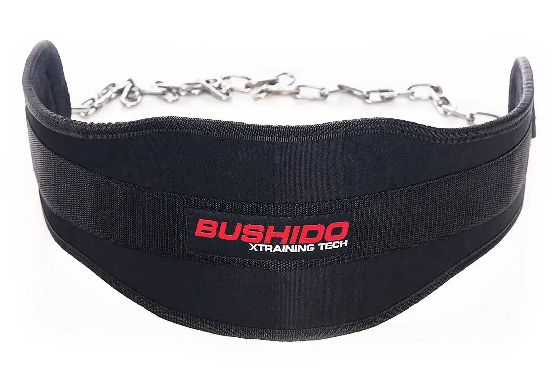 dip belt weight belt