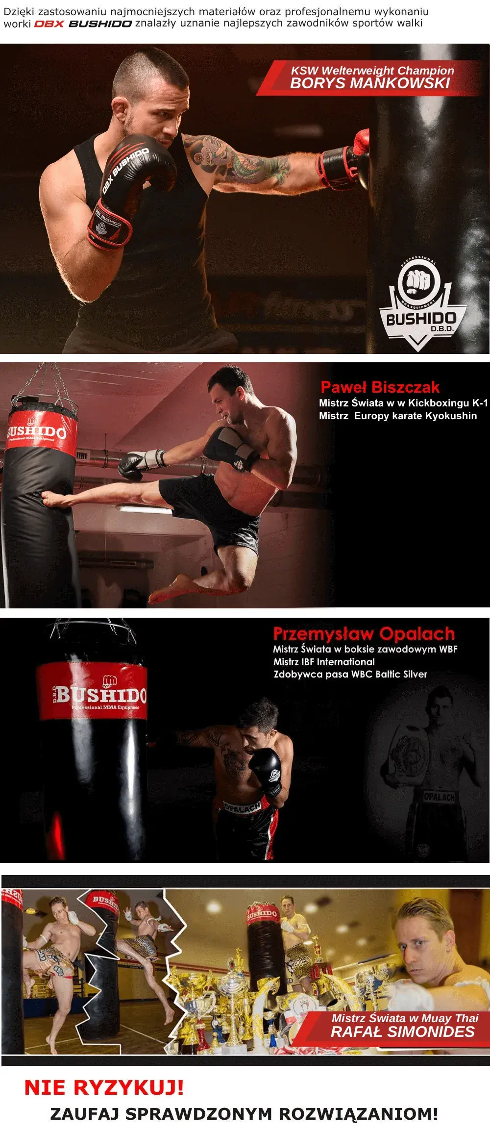 dbx bushido punching bags