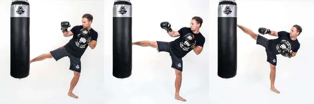 kickboxing punching bag