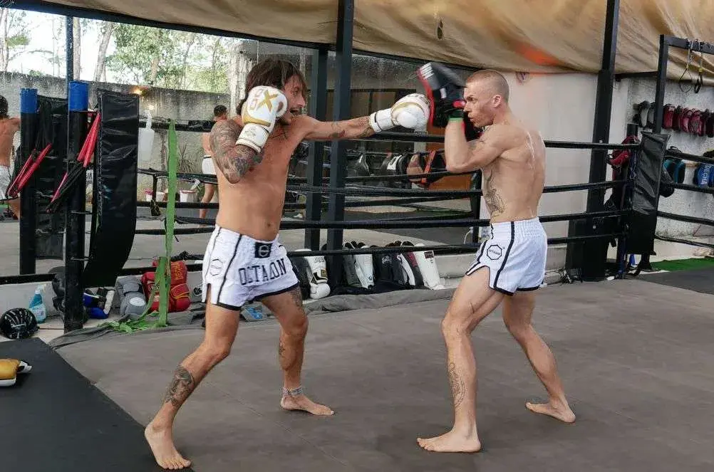 trening muay thai rękawice 