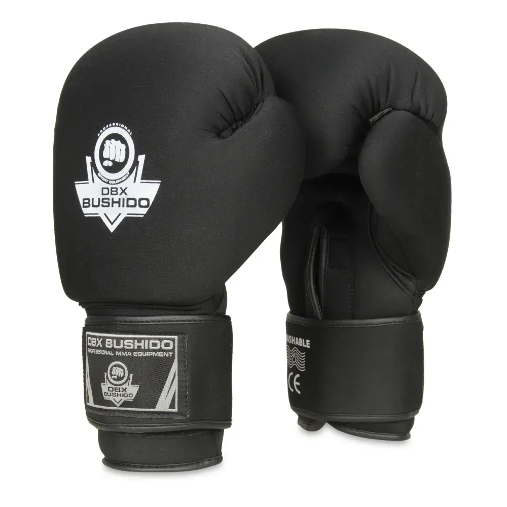 EverCLean DBX Bushido boxing gloves