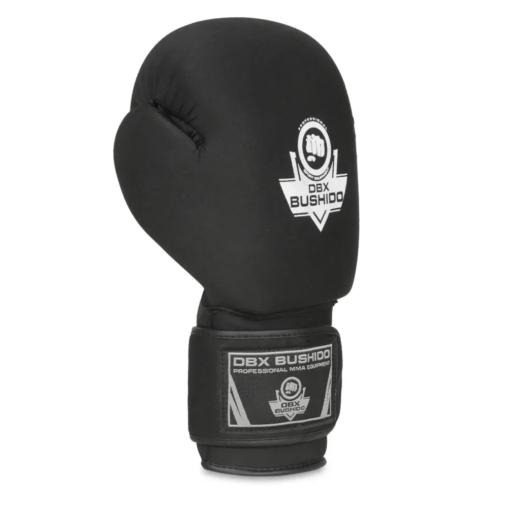 EverClean DBX Bushido boxing gloves