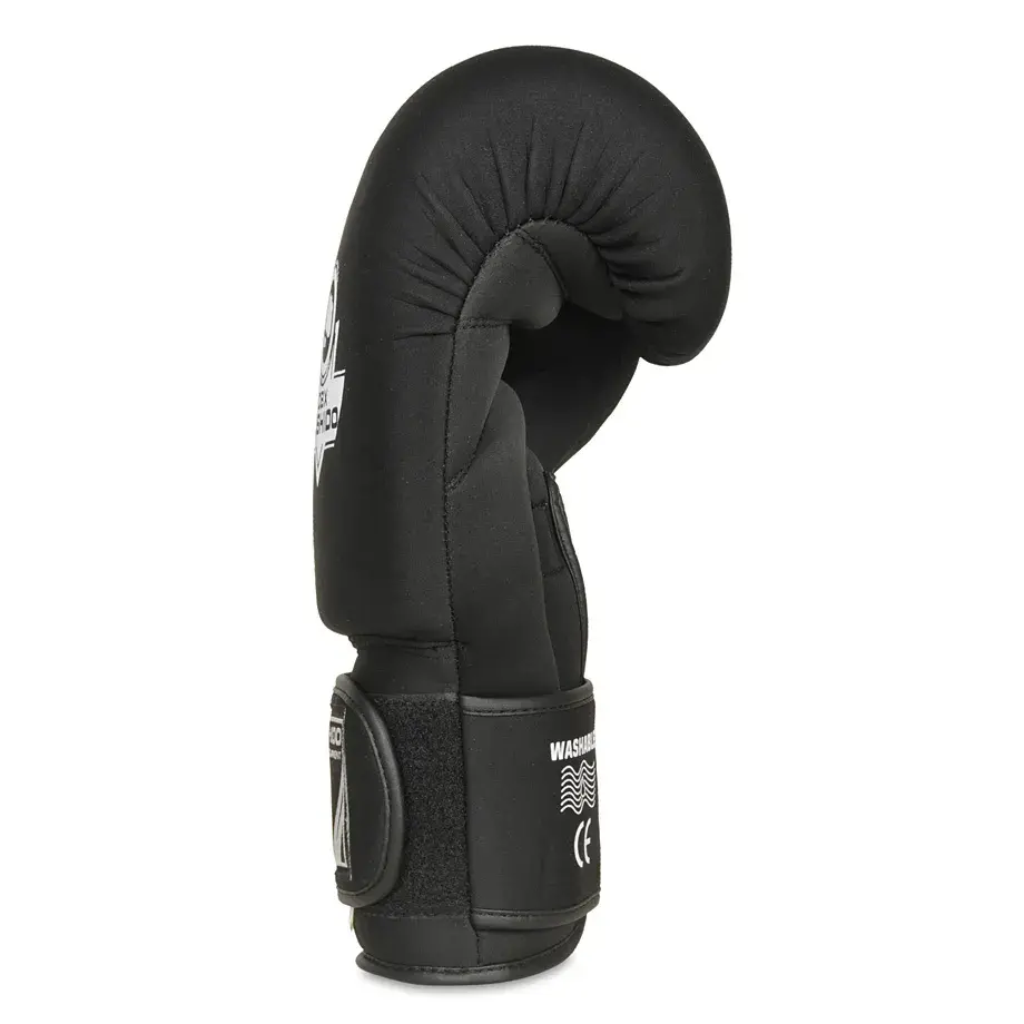 EverClean DBX Bushido boxing gloves