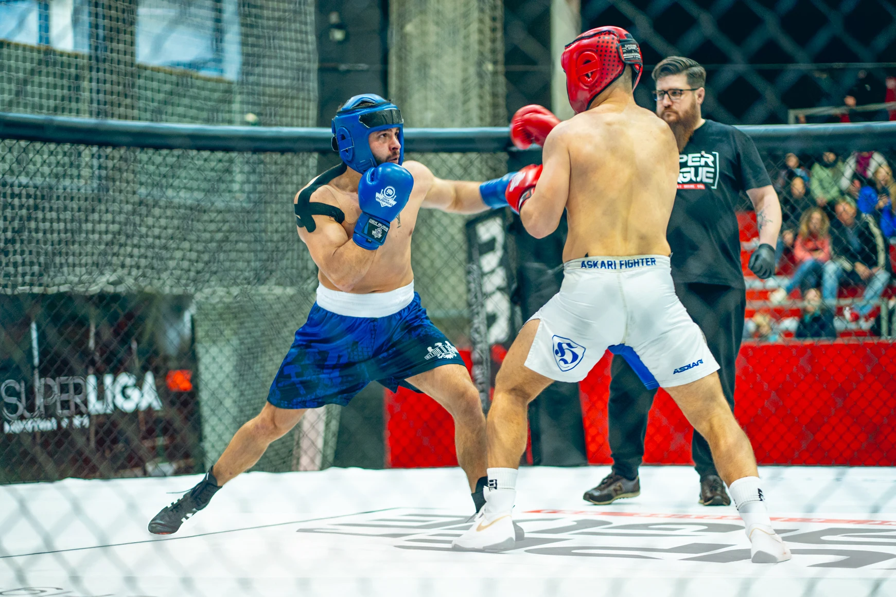 Arb-Blue DBX Bushido