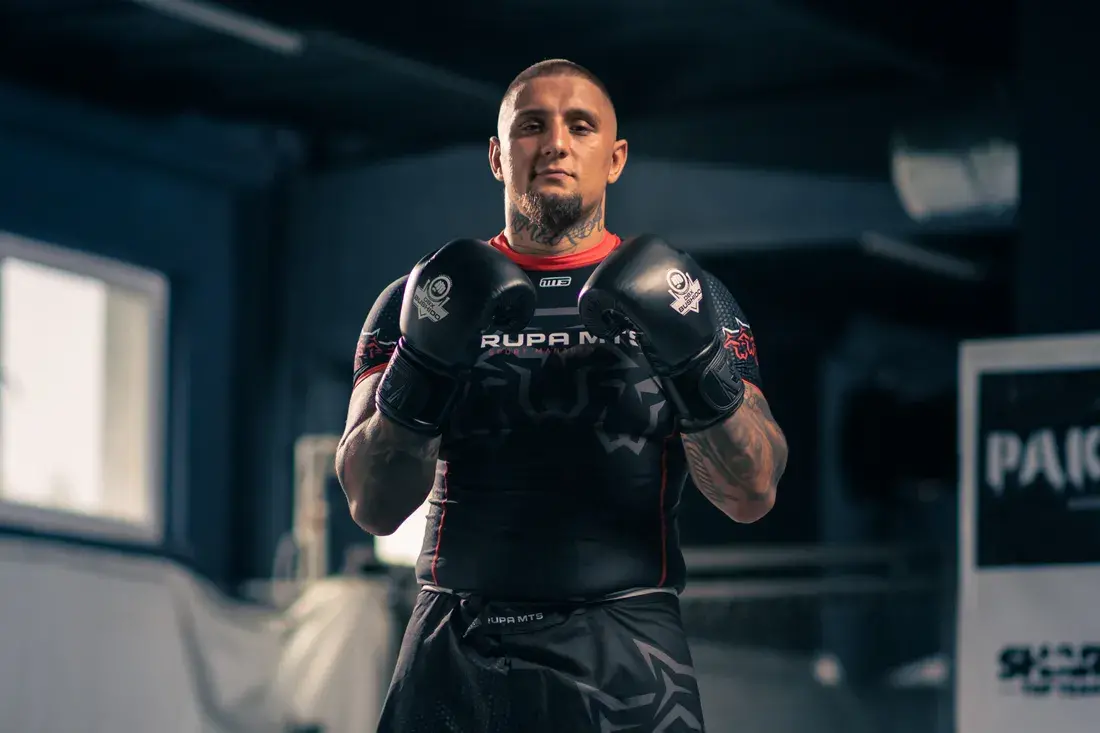 Denis Flinston MMA ProFight natural leather boxing gloves