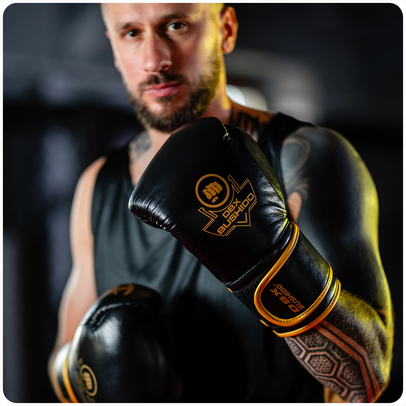 rękawice profighter gold bordeaux ze skóry dbx bushido