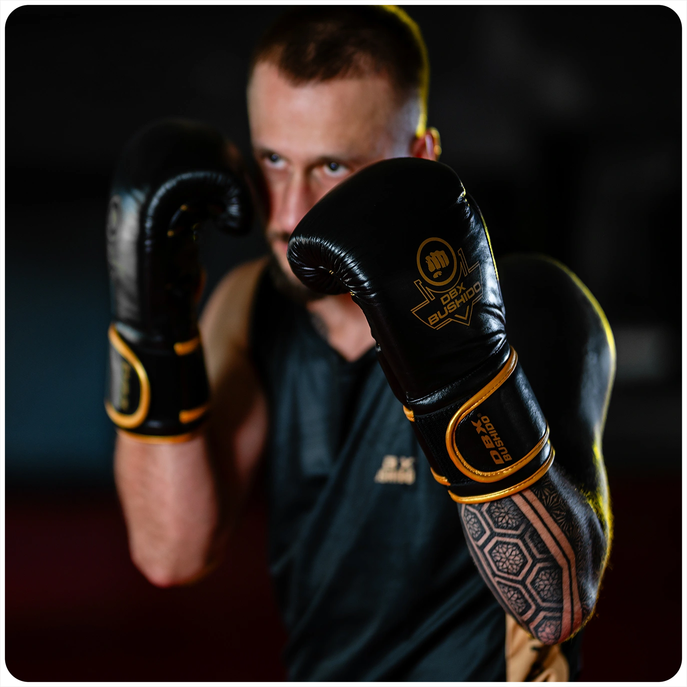 rękawice profighter gold bordeaux ze skóry dbx bushido