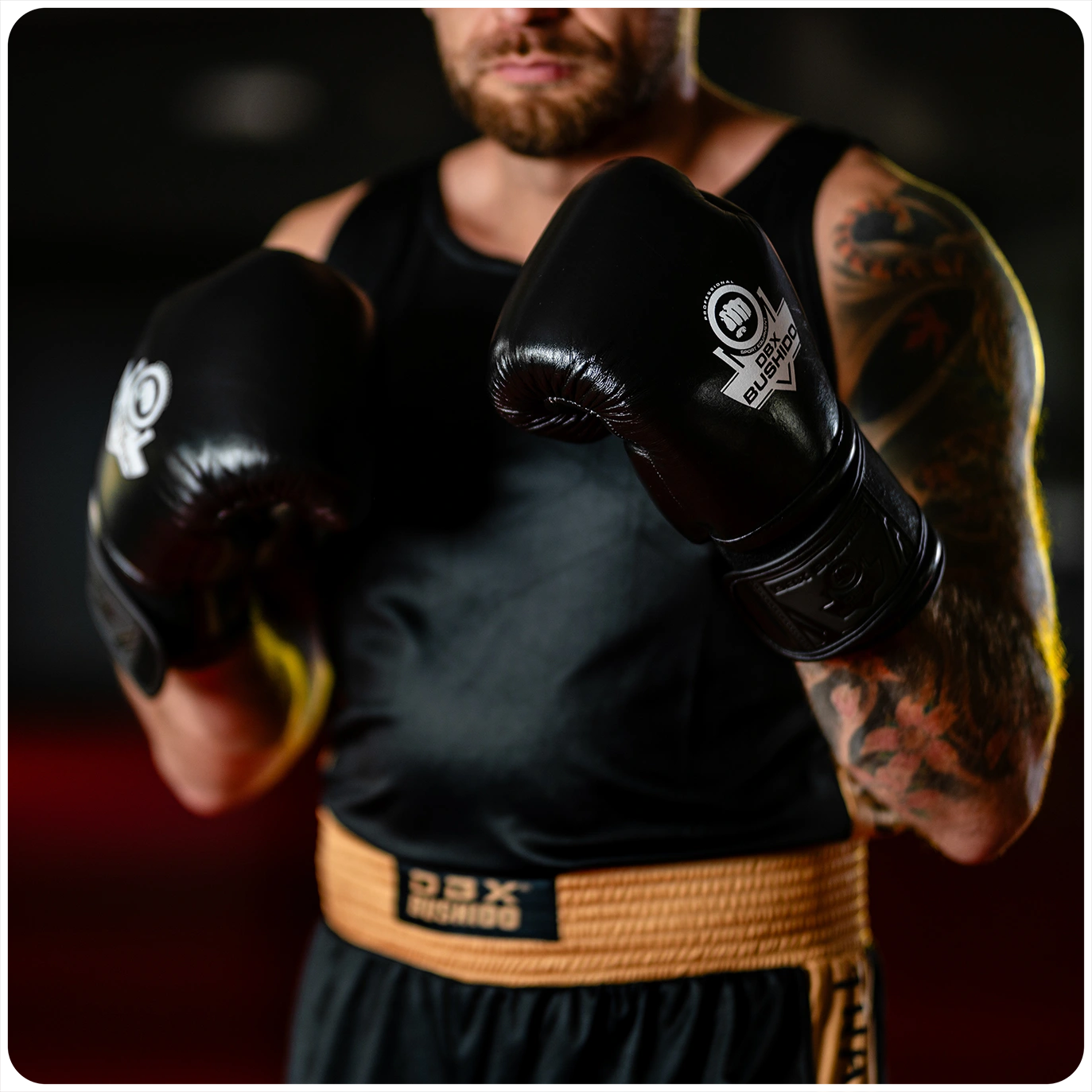 ProFight natural leather boxing gloves