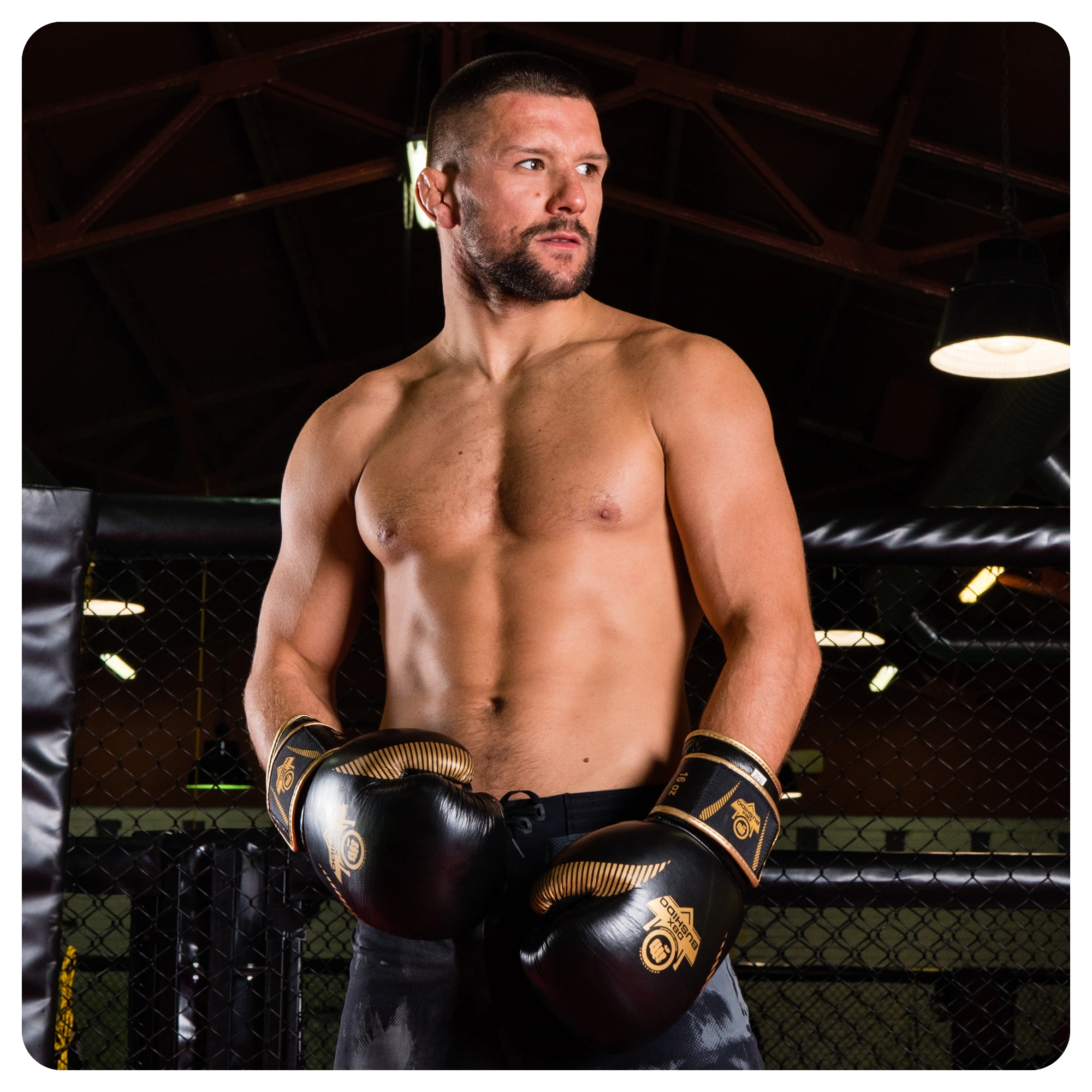 Mateusz Gamrot wearing Aureos gloves