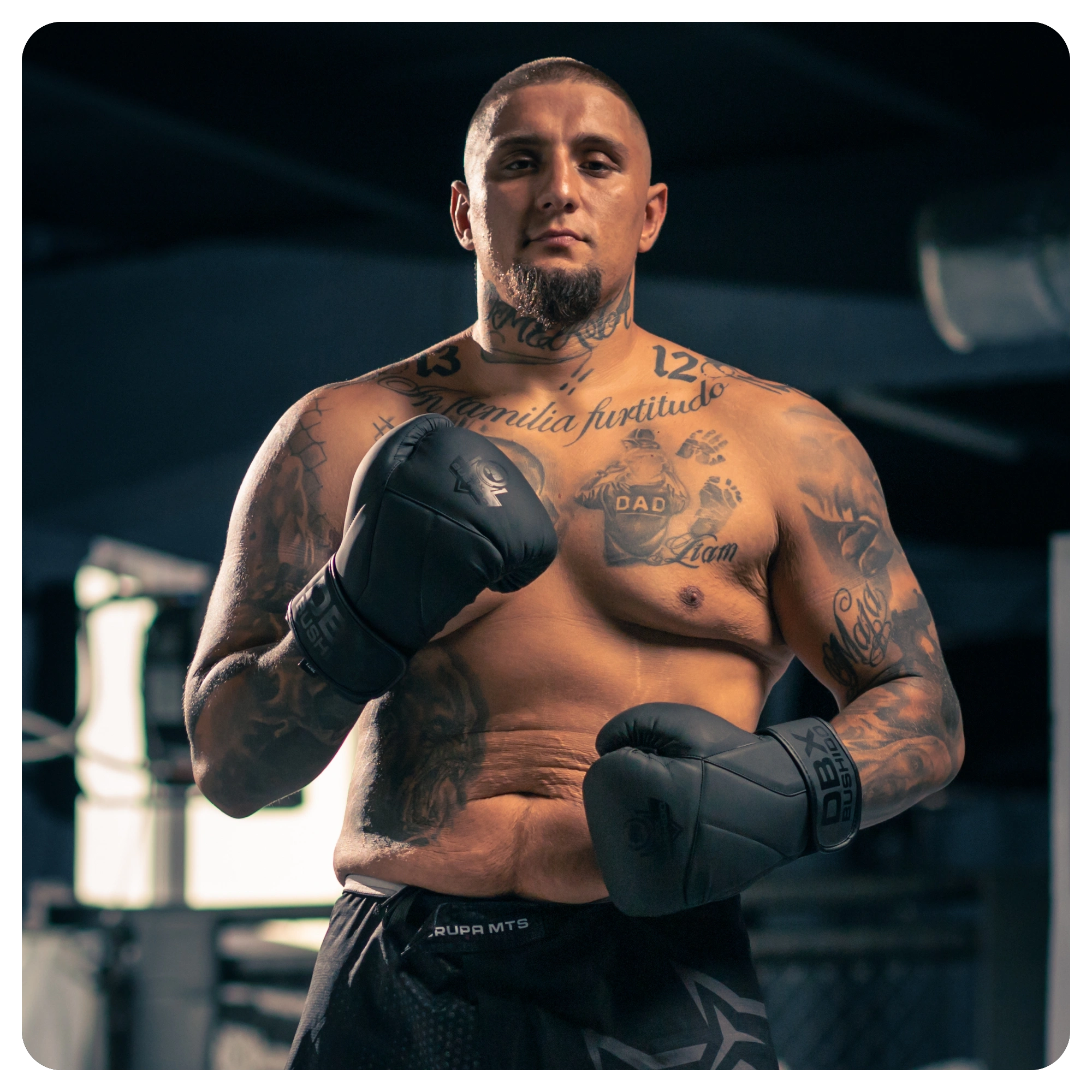 Denis Flinston Górniak DBX Bushido boxing gloves