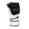 E1V7 Japan MMA gloves DBX BUSHIDO M