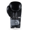 Training Boxing Gloves - Sparring - DBX-B-2v9 - 10 oz