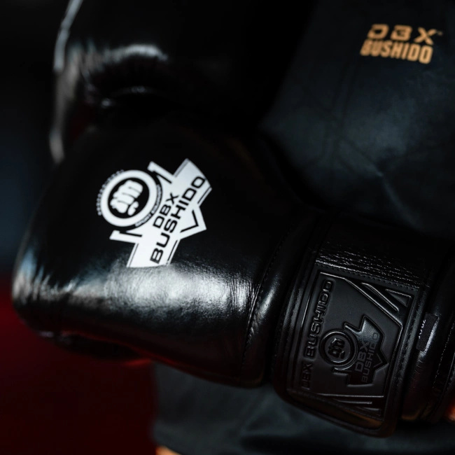 Boxing Gloves 10oz - ProFight - Legacy Series