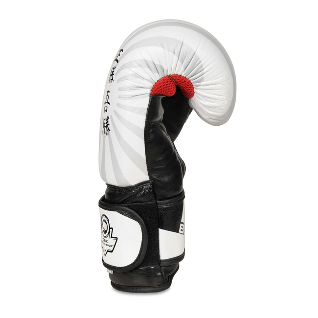 Boxing Gloves 12oz - Japan - Valor Series