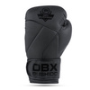 Boxing Gloves 12oz - Hammer Black - Valor Series