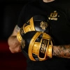 Focus Mitts made of Genuine Leather | ProFighter | 2 pieces