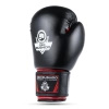 BUSHIDO SPARRING BOXING GLOVES 6 oz Model ARB-407