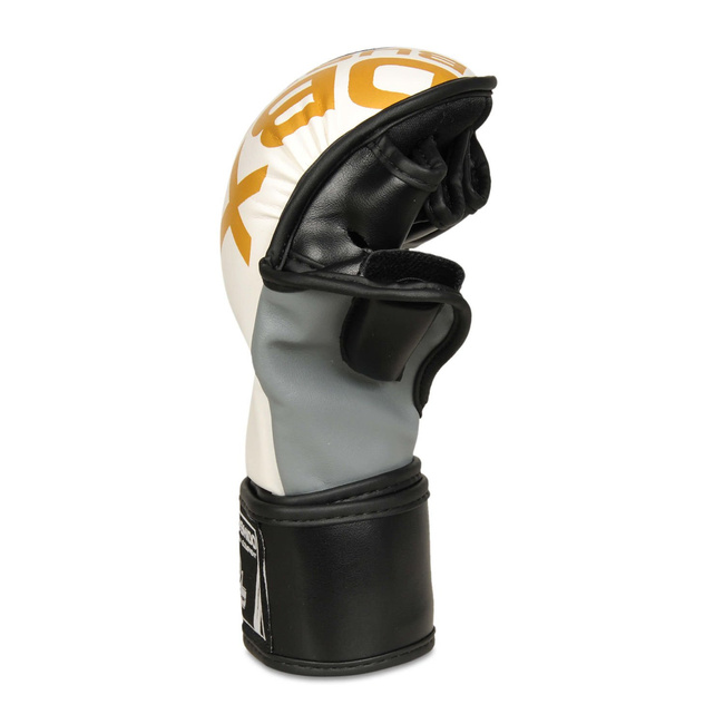 ARM-2011b MMA gloves DBX BUSHIDO S/M