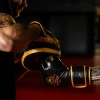 Focus Mitts made of Genuine Leather | ProFighter | 2 pieces