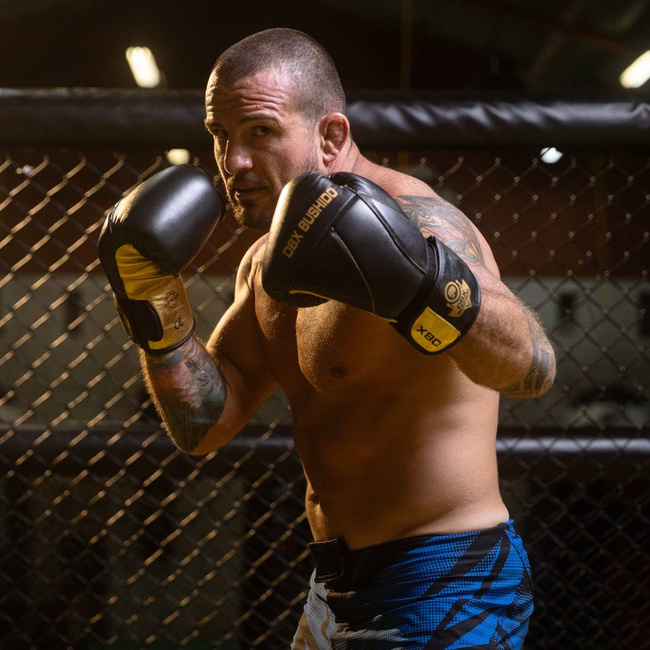 Boxing Gloves 10oz - Hammer Gold - Legacy Series