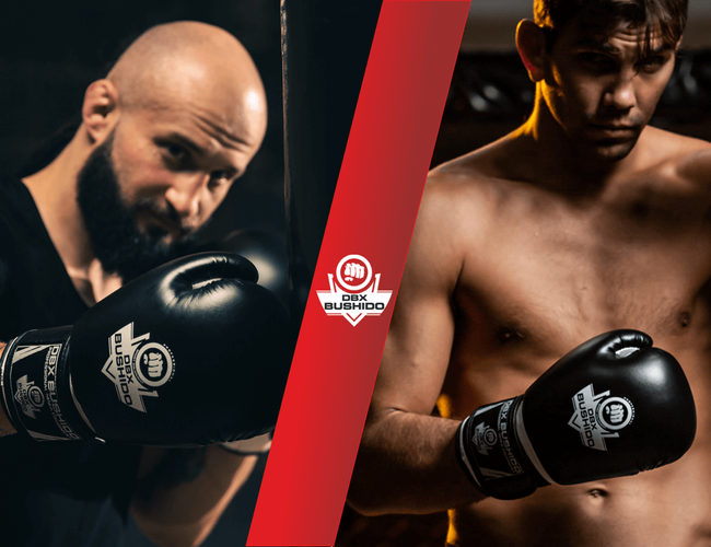 Boxing Gloves 16oz - Classic White - Origin Series