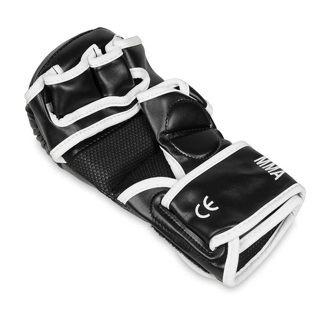 Master MMA gloves DBX BUSHIDO L