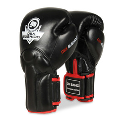 Boxing Gloves with Wrist Protect System BB2-10oz