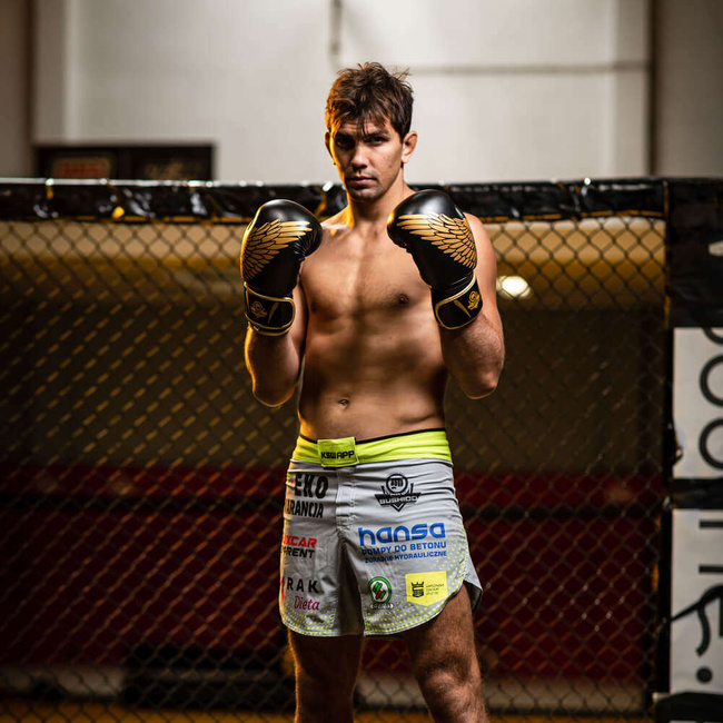 Boxing Gloves 10oz - Hawk - Origin Series