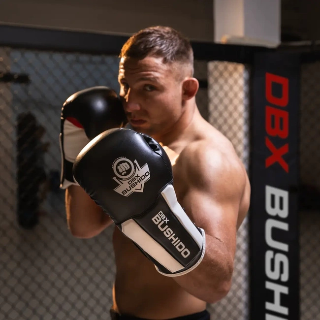 Boxing Gloves 12oz - Phantom White - Valor Series