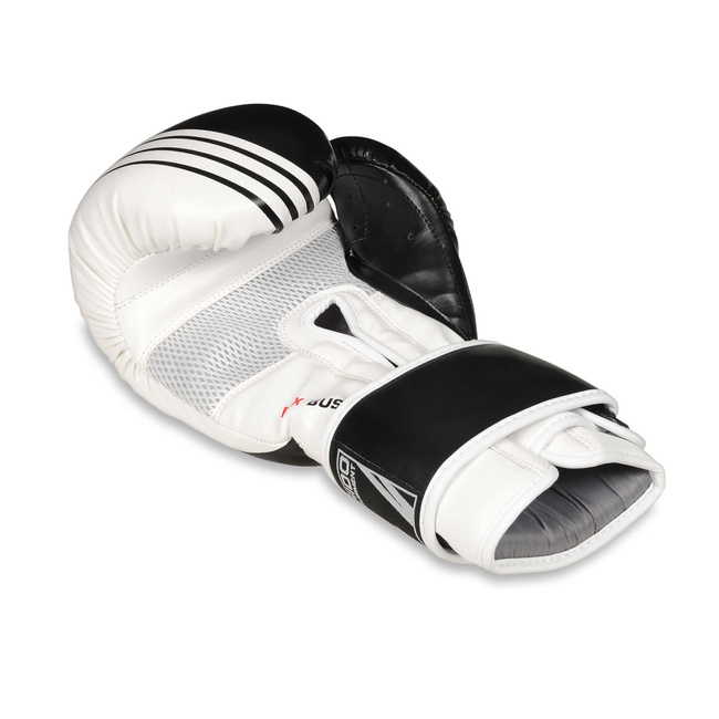 Boxing Gloves 10oz - Edge - Valor Series