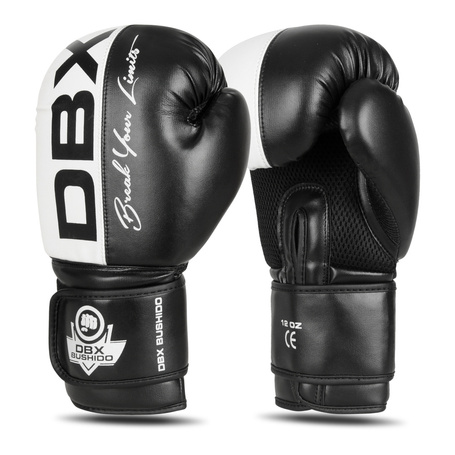 Boxing Gloves 12oz - Harmony - Valor Series