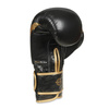 Boxing Gloves 12oz - Aureos - Valor Series