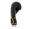Gold Dragon sparring boxing gloves 16 oz