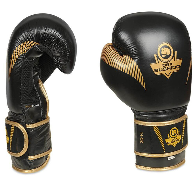 Boxing gloves made of natural leather B-2v13 10 oz