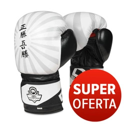 JAPAN BUSHIDO SPARRING BOXING GLOVES B-2v8 10oz