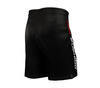 Shorts - training shorts "Team" M