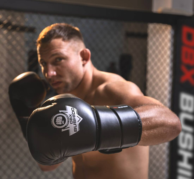 Boxing Gloves 12oz - Eclipse - Origin Series