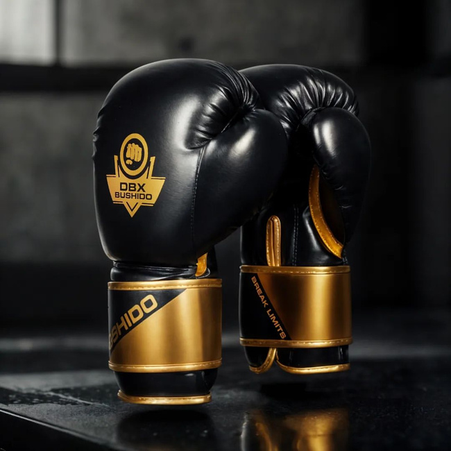 Boxing and sparring gloves B-2v10 8 oz
