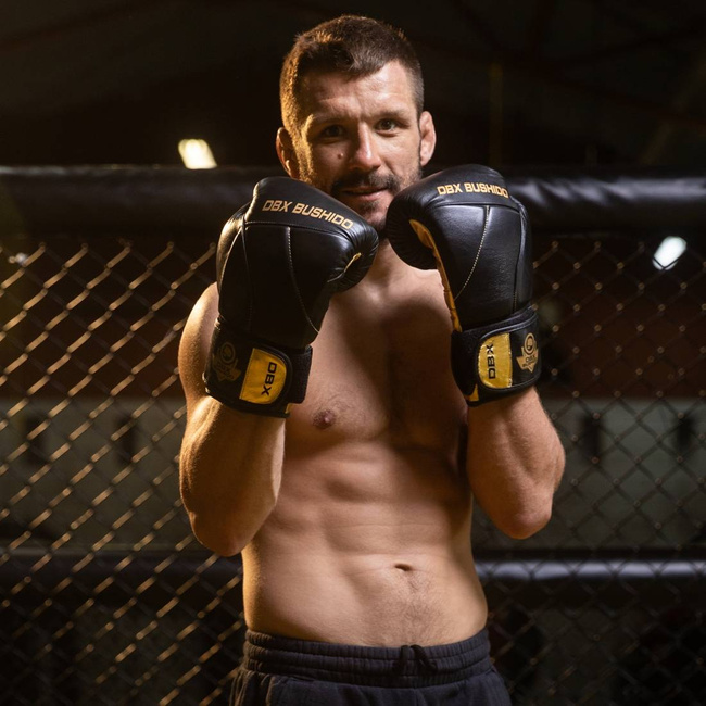 Boxing Gloves 10oz - Hammer Gold - Legacy Series