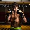 Boxing Gloves 10oz - Hawk - Origin Series