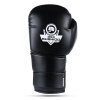 Training Boxing Gloves - Sparring - DBX-B-2v9 - 10 oz