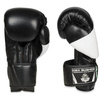 BUSHIDO SPARRING BOXING GLOVES 10oz B-2v6