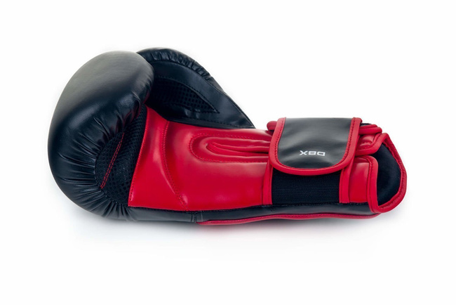 Boxing Gloves 10oz - Phantom Red - Valor Series