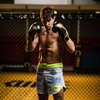 Boxing Gloves 10oz - Hawk - Origin Series