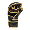 ARM-2011d MMA gloves DBX BUSHIDO L
